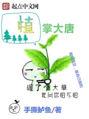 林昊许薇小说全文完结阅读免费